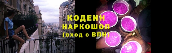 прущие грибы Гусь-Хрустальный