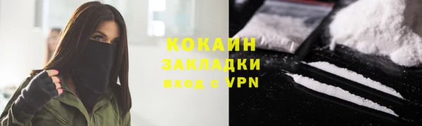 прущие грибы Гусь-Хрустальный
