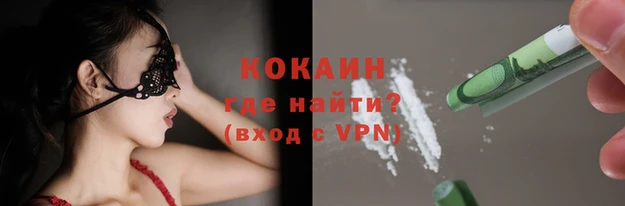 прущие грибы Гусь-Хрустальный