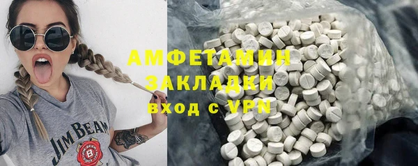 прущие грибы Гусь-Хрустальный