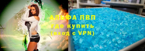 прущие грибы Гусь-Хрустальный